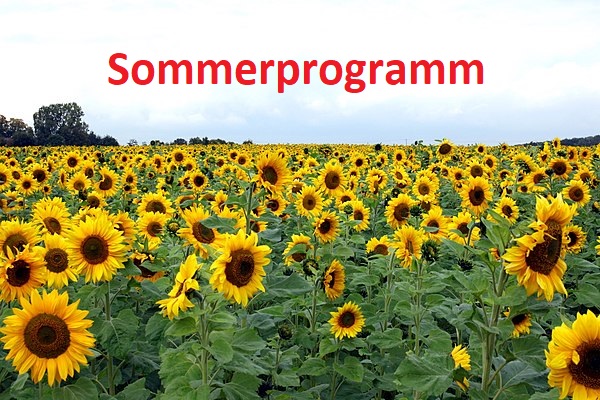 Sommerprogramm
